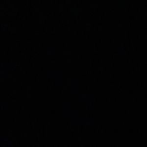 Meet your Posher, Sofia